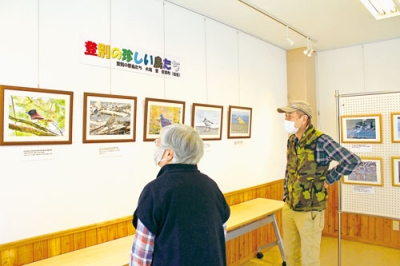写真：市内近郊で撮影した野鳥の作品が並ぶ写真展