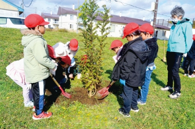 写真：協力してサンショウの苗木を植える児童たち