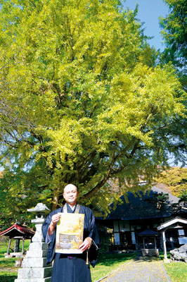写真:見ごろを迎えるイチョウの前で来場を呼びかける有珠善光寺関係者