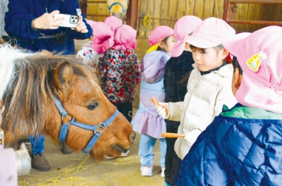 写真:餌やりを体験した園児たち