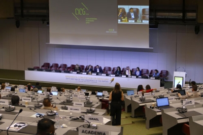 写真：銀歯として虫歯治療に使う「歯科用アマルガム」の製造や輸出入を２０３４年末までに禁止することで合意した水俣条約の締約国会議＝７日、スイス・ジュネーブ（共同）