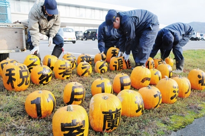 写真:ハロウィーンカボチャを並べる壮瞥高校生