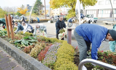 写真:枯れた花を撤去する参加者たち