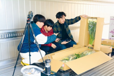 写真：ＣＡ機付き冷蔵コンテナで保存された花の状態を確認する苫小牧高専の学生