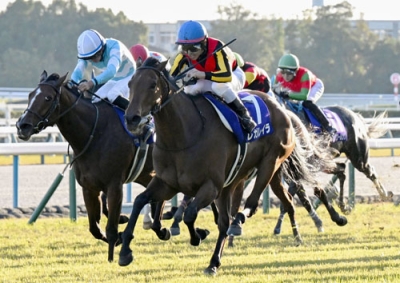 写真:第50回エリザベス女王杯を制したレガレイラ(右)と2着のパラディレーヌ=京都競馬場