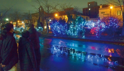 写真:美しい輝きを放つ輪西・グリーンモールのイルミネーション