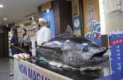 写真：１９日、ソウルで紹介された長崎県産の養殖マグロ（共同）
