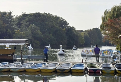 写真:石神井公園のボート場=東京都練馬区