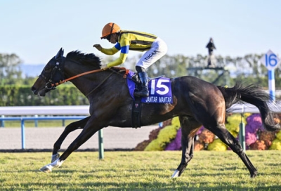写真:第42回マイルチャンピオンシップを制したジャンタルマンタル=京都競馬場