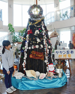 写真：収穫祭で公開されたヤヤン昆布のクリスマスツリー＝絵鞆町のエンルムマリーナ室蘭