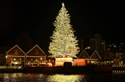 写真：函館市の赤レンガ倉庫前で点灯された巨大クリスマスツリー＝２９日夜