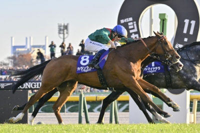 写真：第４５回ジャパンカップを制したミカエル・バルザローナ騎乗のカランダガン＝東京競馬場