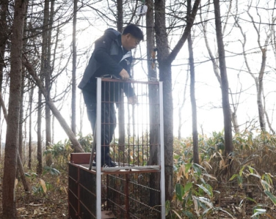 写真:箱わなのセンサーを点検する太田和哉さん=11月27日、松前町