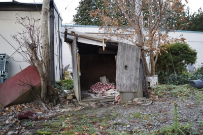 写真：クマに襲われた「コロン」の犬小屋＝１１月、岩手県奥州市