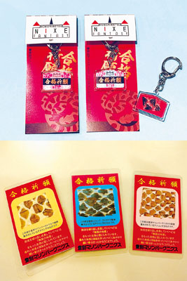 写真：絵馬型キーホルダー（上）とカードタイプのお守り