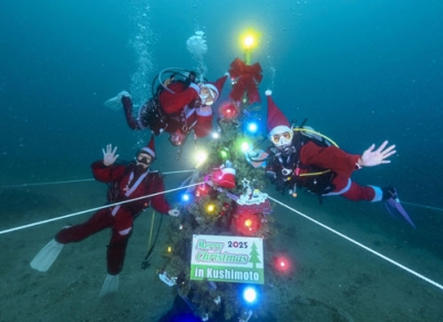 写真:和歌山県串本町沖の海底に設置されたクリスマスツリー=11月(串本ダイビング事業組合提供)