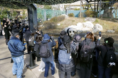 写真：中国への返還発表後、初の来園日を迎え、ジャイアントパンダを観覧する人たち＝１６日午前、東京・上野動物園