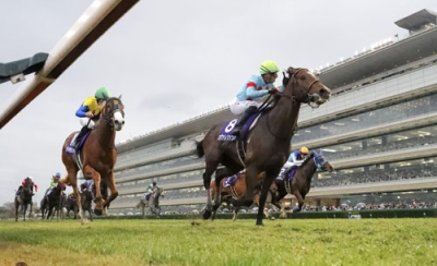 写真：第７７回朝日杯フューチュリティステークスを制したカヴァレリッツォ（手前右）＝阪神競馬場