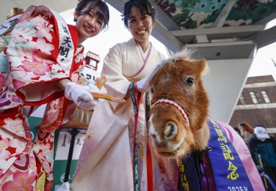 写真：大阪・新世界の通天閣で行われた干支の引き継ぎ式で、対面したコーンスネークとポニー＝２６日午前