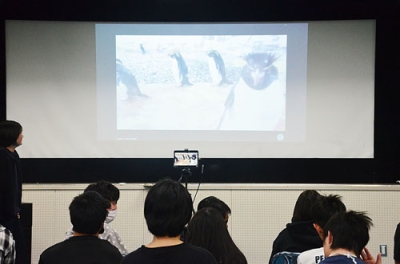 写真：遠隔授業のモニター越しにペンギンの様子を見る生徒たち
