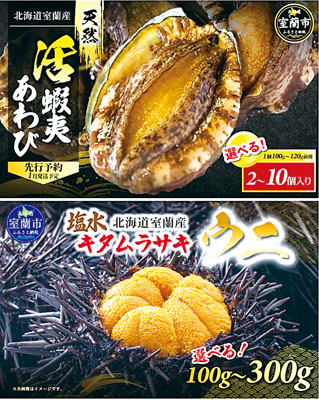 写真：新たに返礼品に追加された海産物（ウニはイメージ）＝提供写真