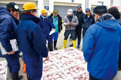 写真：威勢の良いかけ声とともに取引された初競り＝５日午前７時５分ごろ