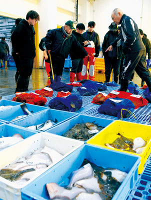 写真:初競りが行われたいぶり噴火湾漁協豊浦支所
