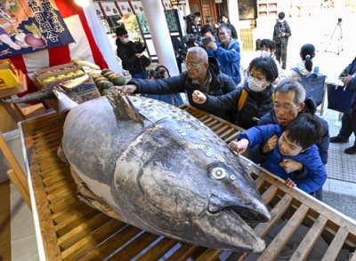 写真：西宮神社に奉納されたマグロに、さい銭を張り付ける参拝客＝８日午前、兵庫県西宮市