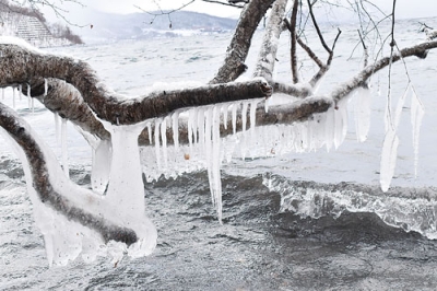 写真：自然が作り出した洞爺湖畔の「しぶき氷」＝壮瞥町東湖畔