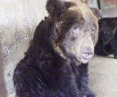 写真：３９歳の誕生日を迎えたマケンコ（提供写真）