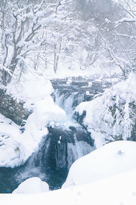 写真：大寒の大滝の三階滝＝２０日午前