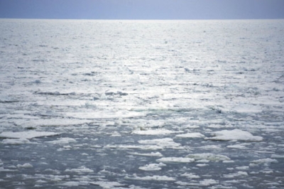 写真：紋別市の紋別港から北北東約９０キロのオホーツク海上で観測された流氷＝１９日午前（紋別海上保安部提供）