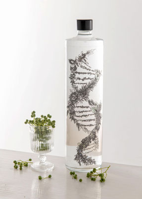 写真：浜松市のさんしょうを使った「山椒ジン」（アオイ・ジン・クラフト・テクノロジー提供）