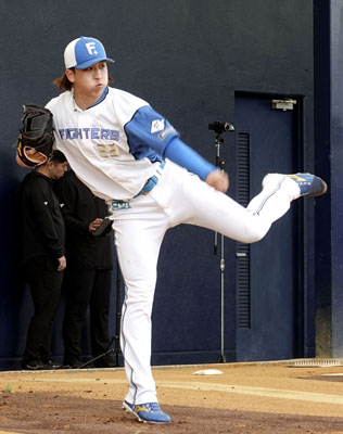 写真：ブルペンで投球練習する日本ハムの細野＝名護