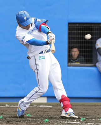 写真：阪神との練習試合で二塁打を放つ日本ハムのエドポロ＝名護