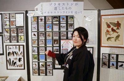 写真：トーマス・ブラキストンの足跡をたどる企画展で鳥の羽の標本や写真について解説するスタッフ＝函館市