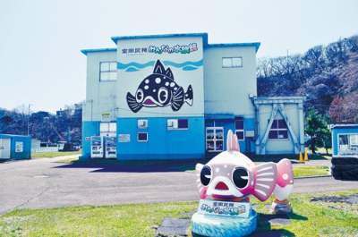 写真：４月にプレオープンイベントを催す室蘭民報みんなの水族館