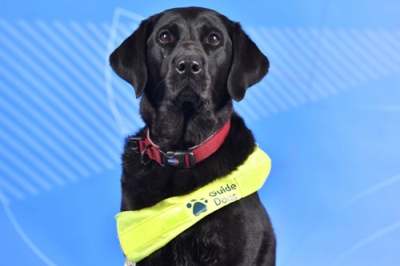 写真：パラリンピックの英国選手を支える補助犬「ピックル」（ＰａｒａｌｙｍｐｉｃｓＧＢ提供、共同）