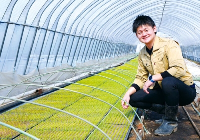 写真：育苗する九条ねぎを確認しながら伊達の生産に期待を込める山田取締役＝伊達市南稀府町