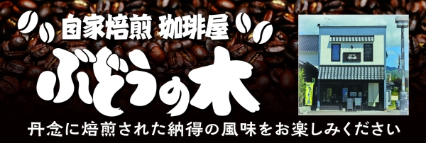 写真:ぶどうの木